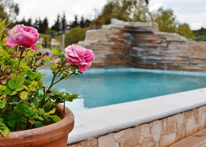 Villa Natura House *