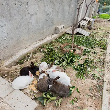 빌라 Natura House 이알리소스