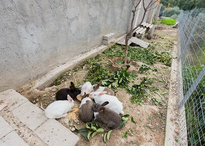 Willa Natura House Jalisos